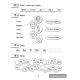 Magic Box 2. Workbook-1