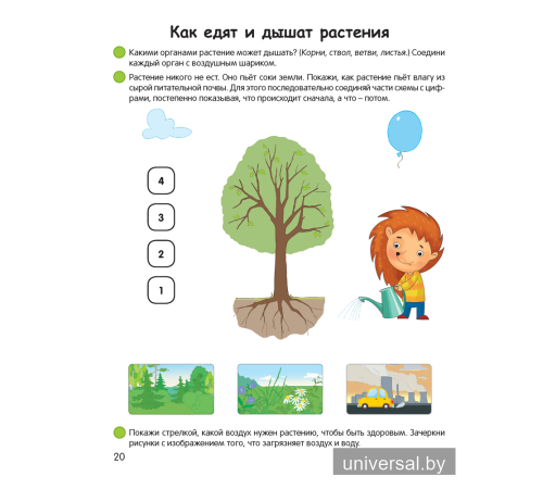 Умней-ка. 5—6 лет. Экологическая мозаика