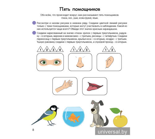 Умней-ка. 5—6 лет. Экологическая мозаика