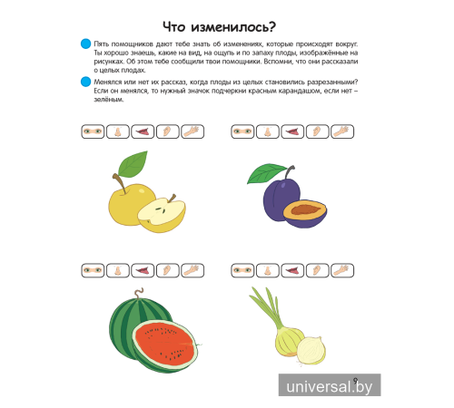 Умней-ка. 5—6 лет. Экологическая мозаика