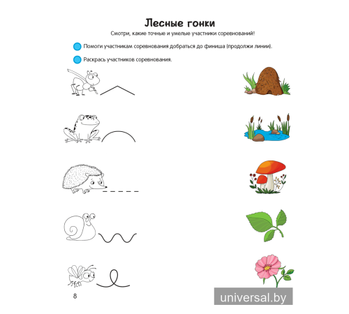 Умней-ка. 4—5 лет. Линия и цвет
