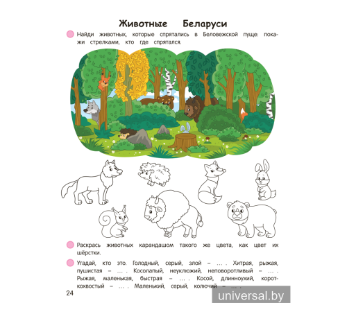 Умней-ка. 5—6 лет. Мир вокруг