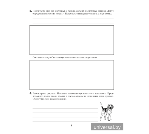Рабочая тетрадь по биологии для 8 класса