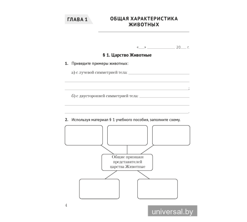 Биология. 8 класс. Рабочая тетрадь