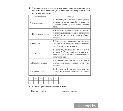 Биология. 8 класс. Рабочая тетрадь