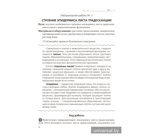 Тетрадь для лабораторных и практических работ по биологии для 10 класса. Повышенный уровень