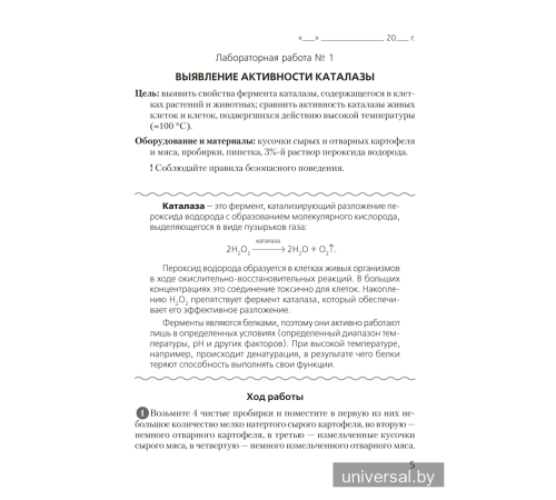 Тетрадь для лабораторных и практических работ по биологии для 11 класса. Базовый уровень