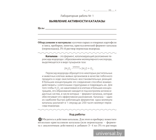 Тетрадь для лабораторных и практических работ по биологии для 11 класса. Повышенный уровень