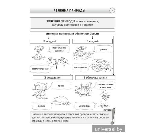 Человек и мир. 5 класс. Опорные конспекты, схемы и таблицы