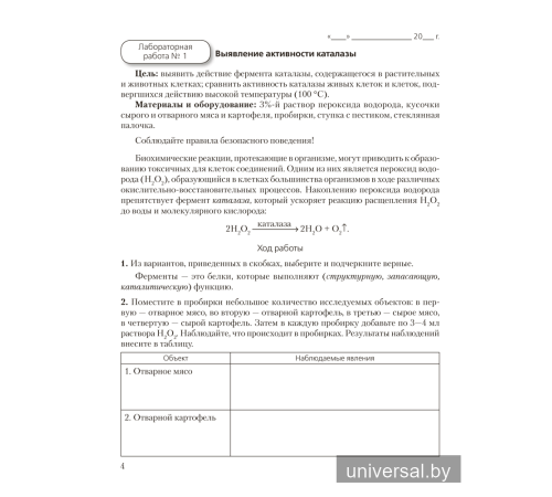 Биология. 11 класс. Тетрадь для лабораторных и практических работ (базовый уровень)