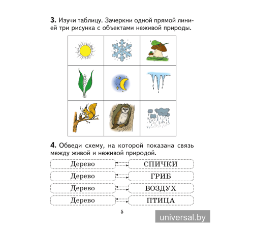 Человек и мир. 2 класс. Практикум
