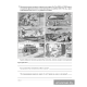Обществоведение. 11 класс. Практикум
