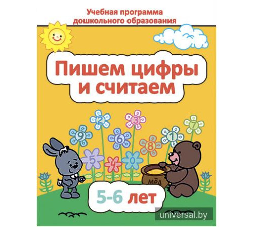 Пишем цифры и считаем. 5-6 лет