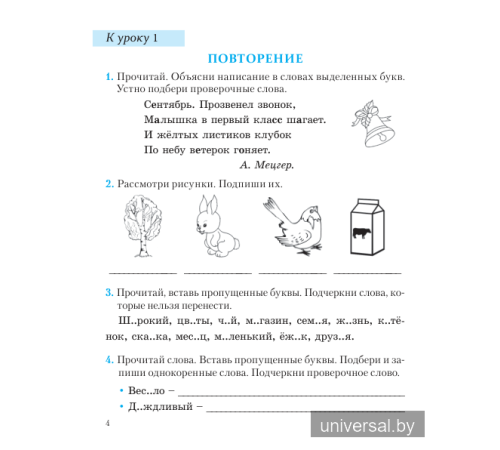 Русский язык. 3 класс. Шаги к знаниям. Рабочая тетрадь