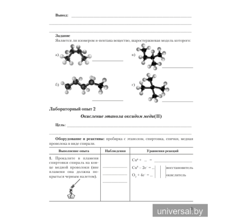 Химический эксперимент. 10 класс. Тетрадь для практических работ (повышенный уровень)