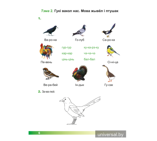 Асновы моўнай культуры. 1 клас. Рабочы сшытак