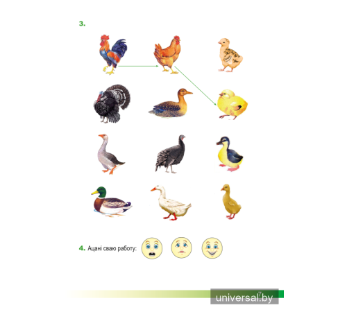 Асновы моўнай культуры. 1 клас. Рабочы сшытак