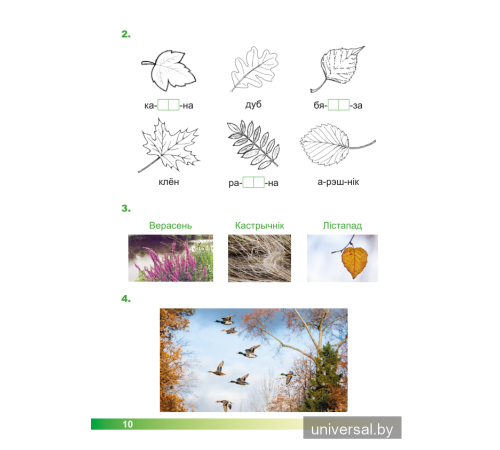 Асновы моўнай культуры. 1 клас. Рабочы сшытак