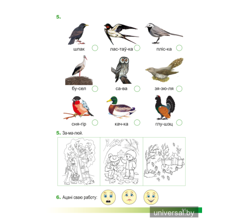 Асновы моўнай культуры. 1 клас. Рабочы сшытак