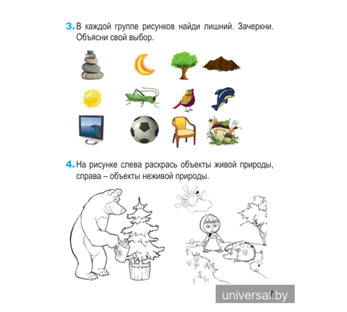 Человек и мир. 1 класс. Рабочая тетрадь (с наклейками)