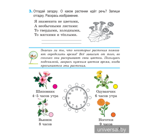 Человек и мир. 2 класс. Рабочая тетрадь