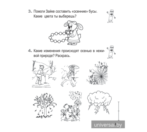 Человек и мир. 1 класс. Рабочая тетрадь