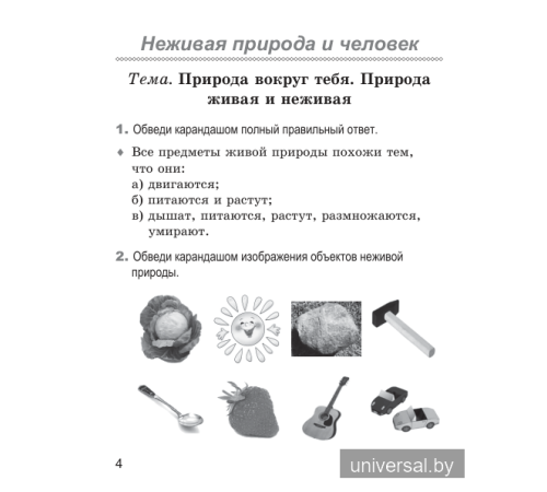 Человек и мир. 2 класс. Рабочая тетрадь