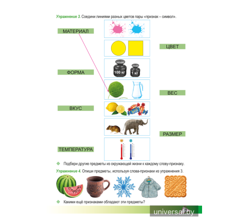 Элементы логики. 2 класс. Рабочая тетрадь