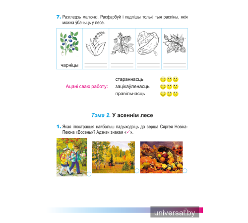 Асновы моўнай культуры. 2 клас. Рабочы сшытак