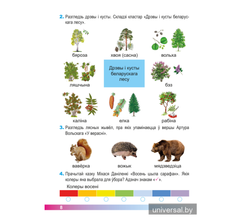 Асновы моўнай культуры. 2 клас. Рабочы сшытак