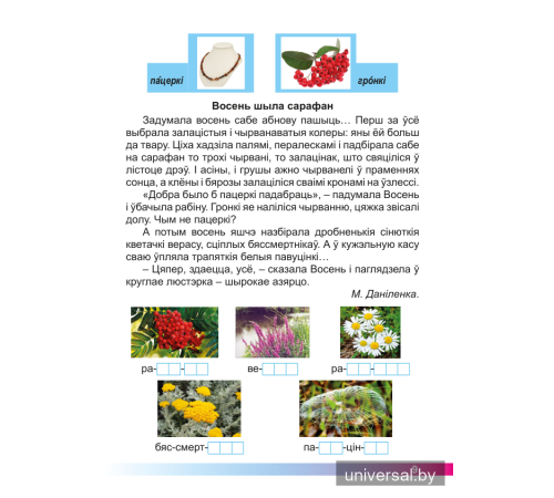 Асновы моўнай культуры. 2 клас. Рабочы сшытак