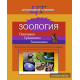 Зоология. Повторяем. Сравниваем. Запоминаем. Характеристика беспозвоночных и позвоночных животных