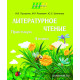 Литературное чтение 4 класс. Практикум
