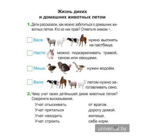 Человек и мир. 1 класс. Рабочая тетрадь (с наклейками). Пособие для учащихся