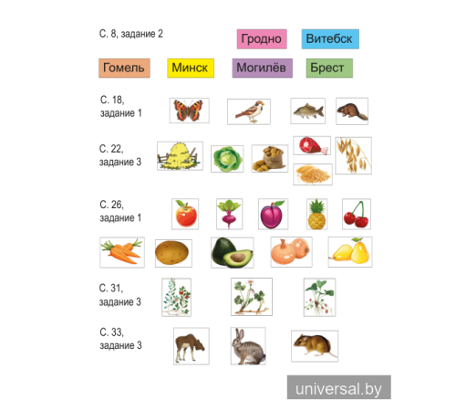Человек и мир. 1 класс. Рабочая тетрадь (с наклейками). Пособие для учащихся