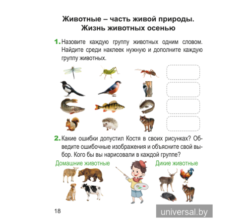 Человек и мир. 1 класс. Рабочая тетрадь (с наклейками). Пособие для учащихся