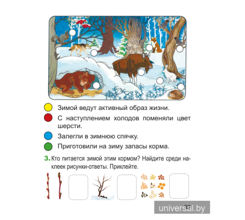 Человек и мир. 1 класс. Рабочая тетрадь (с наклейками). Пособие для учащихся