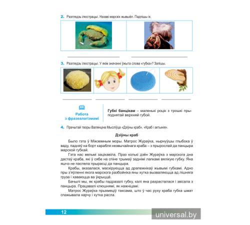 Асновы моўнай культуры. 4 клас. Рабочы сшытак