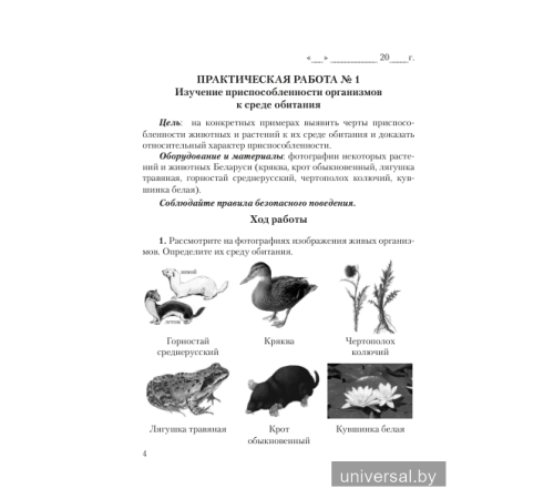 Тетрадь для лабораторных и практических работ по биологии для 10 класса (базовый уровень). Пособие для учащихся