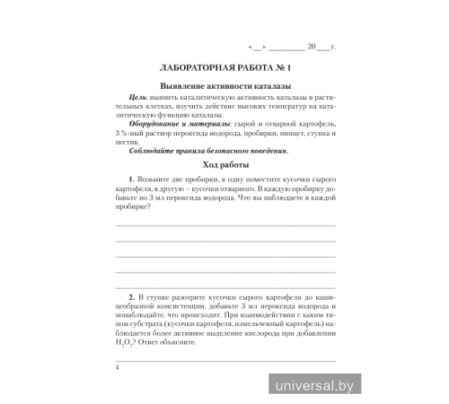 Тетрадь для лабораторных и практических работ по биологии для 11 класса (базовый уровень). Пособие для учащихся