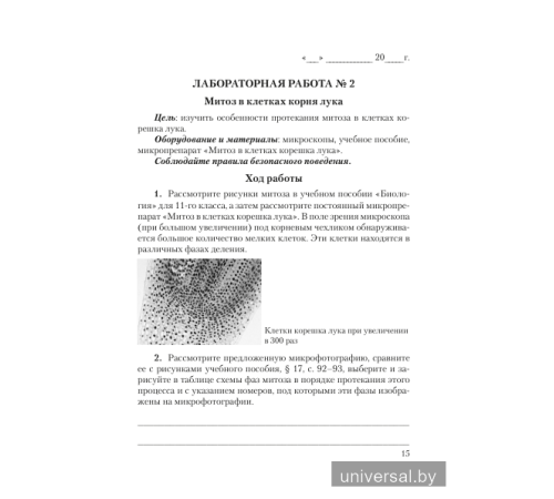 Тетрадь для лабораторных и практических работ по биологии для 11 класса (базовый уровень). Пособие для учащихся