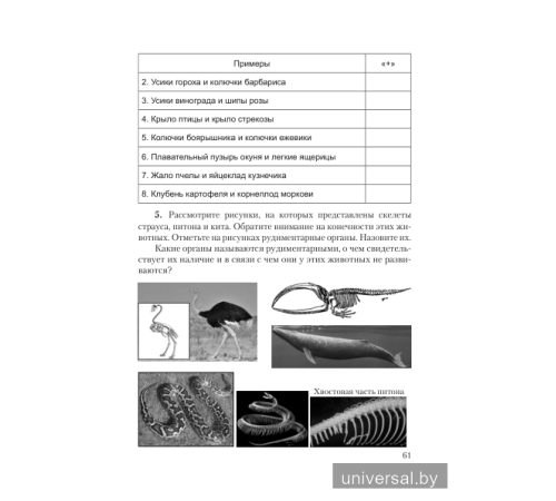 Тетрадь для лабораторных и практических работ по биологии для 11 класса (базовый уровень). Пособие для учащихся